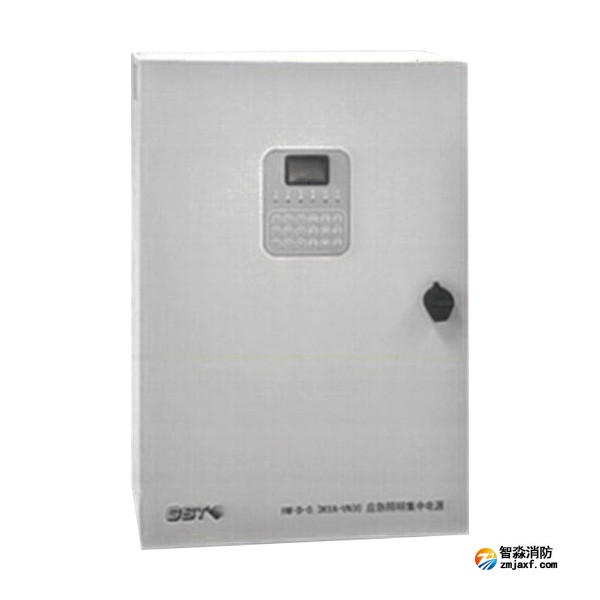 四川海灣HW-D-0.3KVA-VN30應(yīng)急照明集中電源（消防應(yīng)急燈具專(zhuān)用應(yīng)急電源）