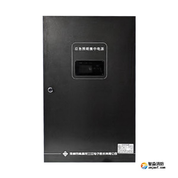 四川海灣SJ-D-0.6KVA/P601AC應(yīng)急照明集中電源 4回路 壁掛式